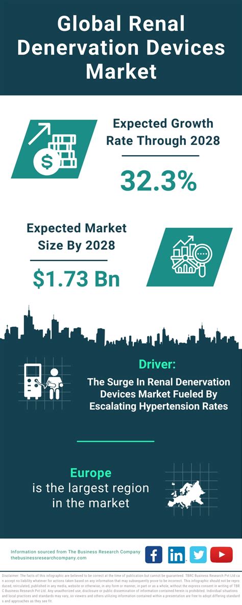 Renal Denervation Devices Market Size & Trends, Share and Global Report ...