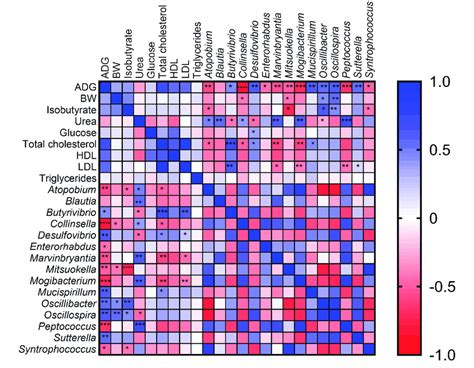 The Spearman Correlation Heatmap Graphically Represents The Correlation Download Scientific