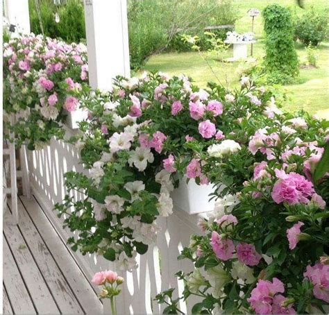 Pin By Lo Klintefors On GARDEN In 2024 Balcony Flowers Container