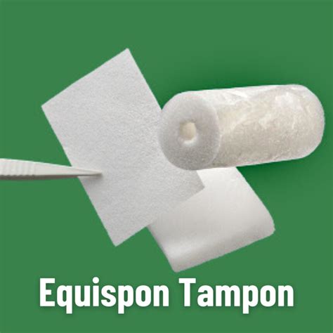 Equispon Rapid Hemostatic Gelatin Sponge For Surgical Use