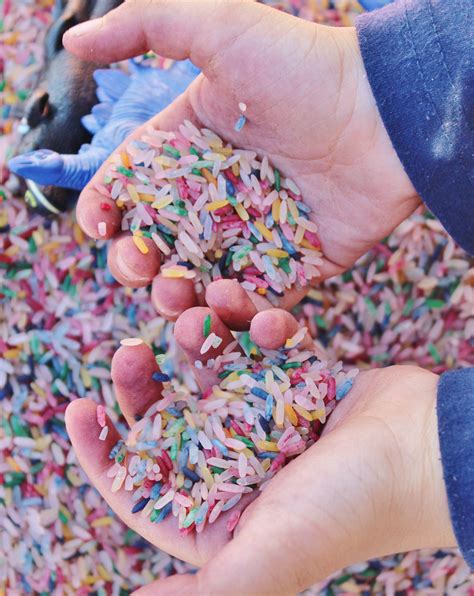 Free Images : hand, play, child, dessert, rice, icing, hands, feel ...