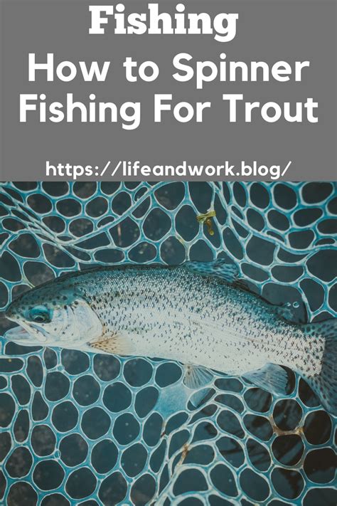 How To Spinner Fishing For Trout