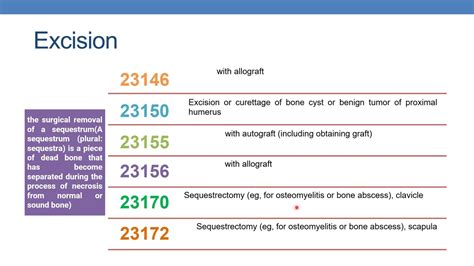 Cpt Coding Guidelines For Surgery Musculoskeletal System Part 4 Abdomen