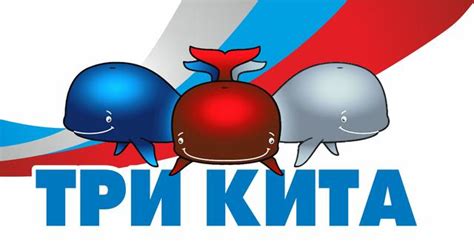 "Компания "Три Кита"" - контакты, товары, услуги, цены
