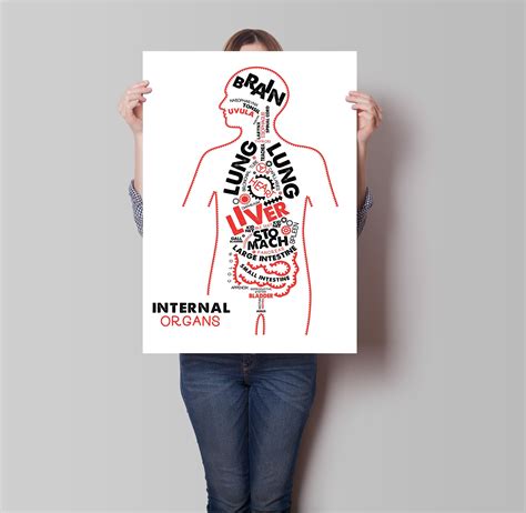internal organs anatomy poster typographic anatomy print education