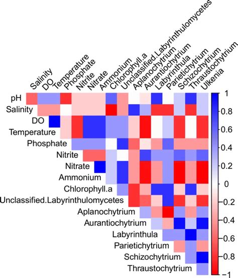 A Correlogram Showing Spearmans Rank Correlations Between Relative