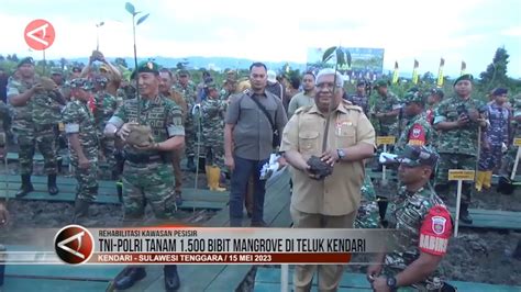 Tni Polri Tanam Bibit Mangrove Di Teluk Kendari Youtube