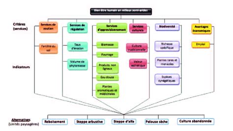 Exemple Dapplication De La Notion De Services écosystémiques Dans