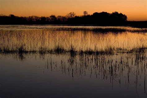 El 42 De Las Aguas Subterráneas No Podrán Mantener Ecosistemas