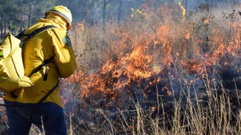 Incendios Forestales Escasez De Agua Y Contaminaci N Ecologistas