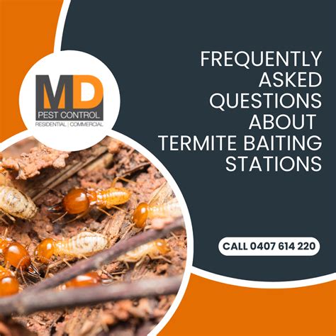 Frequently Asked Questions About Termite Baiting Stations Md Pest Control