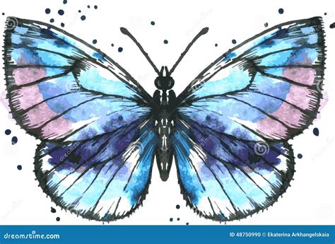 Papillon Bleu De Vecteur Dans L Aquarelle Illustration De Vecteur