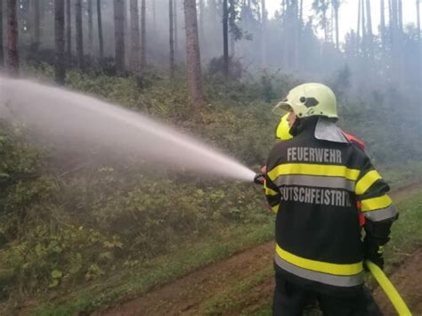 Allgemeine Bung Waldbrand Freiwillige Feuerwehr Deutschfeistritz