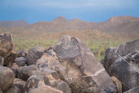 14 Spectacular Things To Do In Saguaro National Park Arizona