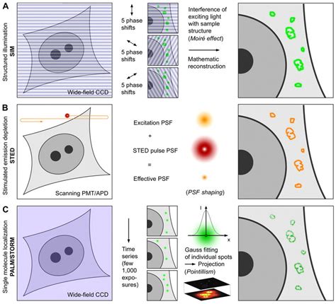 Super Resolution Imaging Principles A In Sim The Sample Plane Is