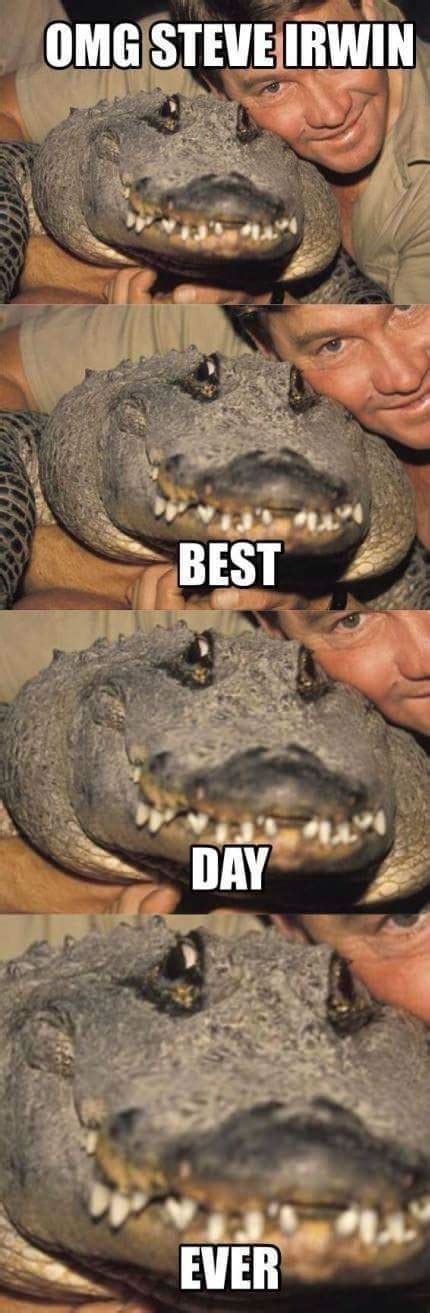 The Best Steve Irwin Memes Memedroid