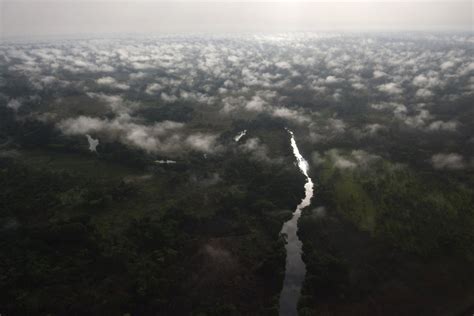 Deforestation in Congo Basin Has ‘Slowed Dramatically’ in Past Decade