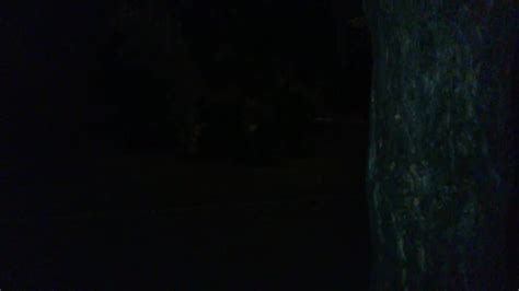 Raccolta Nell Anno 2020 Giuseppe Di Tromello Incontra La Sua Amica A Vigevano 10110095 Porn