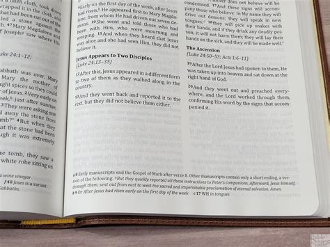 Berean Study Bible Review Bible Buying Guide