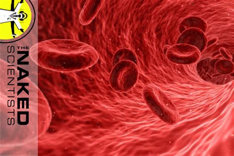 Blood Under A Microscope Research And Innovation