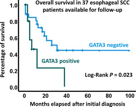 gata positivity    poor prognosis  patients