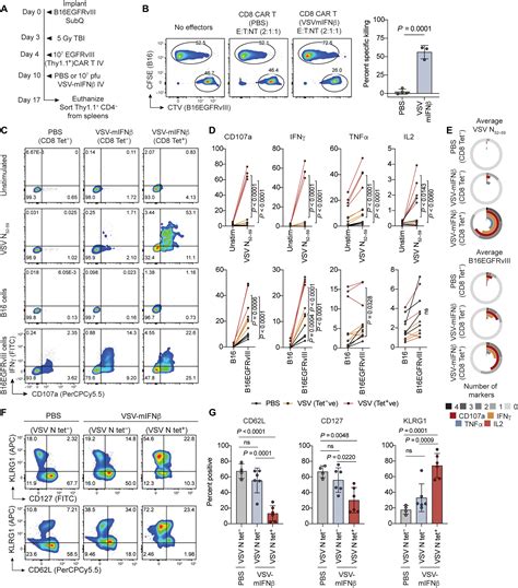 Oncolytic Virusmediated Expansion Of Dual Specific Car T Cells