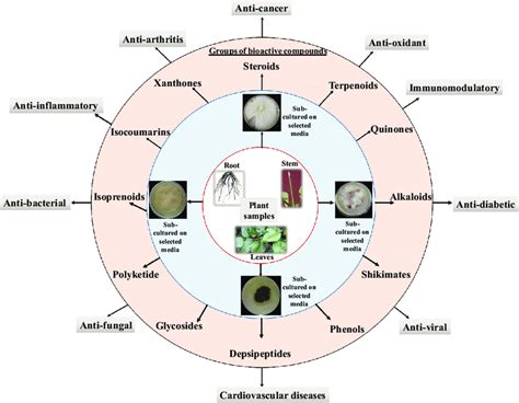 Bioactive Compounds Derived From Fungal Endophytes With Pharmacological