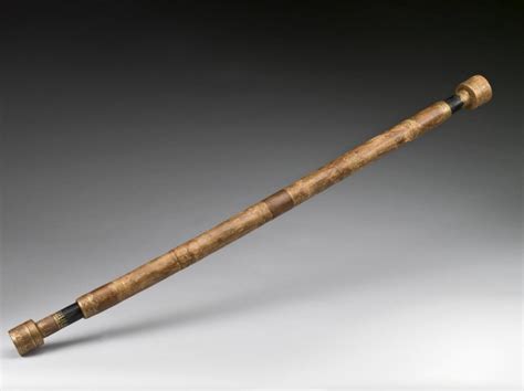 August 25 Happy Birthday Galileos Telescope Daily Philosophy