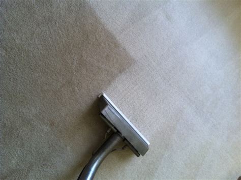 How To Maintain Your Carpet Precise Carpet Cleaning St Charles Mo