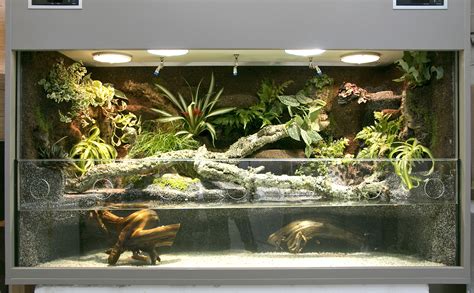 Aquaterrarium Paludarium F R Krokodilschwanzechsen Hoppe Terrarienbau