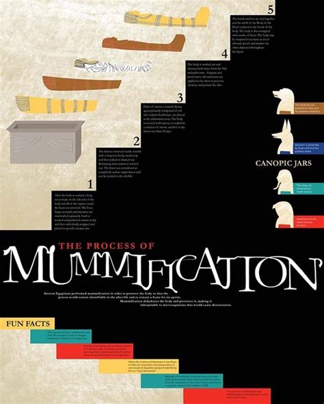 Mummification // Egypt Exhibit Poster & Brochure by Sarah Jacobsen, via ...