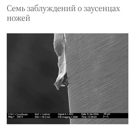 Флудилка заточного стр 229 : Guns.ru Talks
