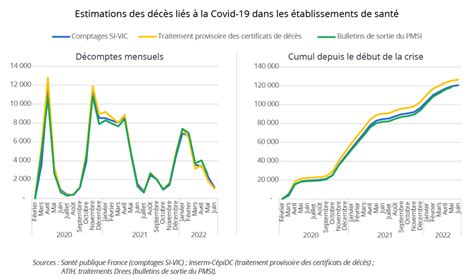 Covid 19 et mortalité au delà des chiffres de l InseeLe blog de l Insee