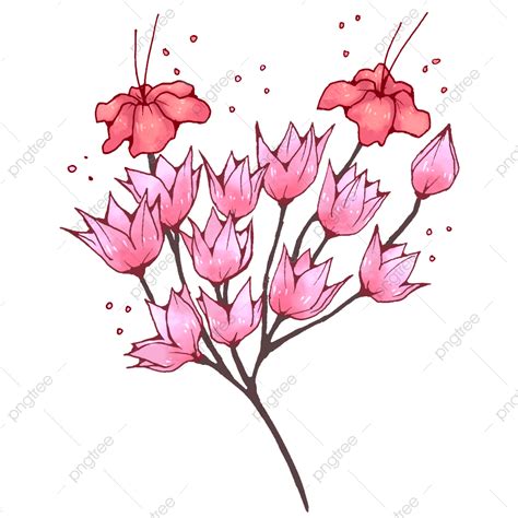 Bunga Estetik Png Picture Bunga Hias Yang Sangat Estetik Nature Floral Plant Png Image For