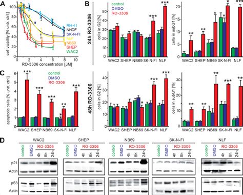 Inhibition Of Cdk1 By A Small Molecule Inhibitor Ro 3306 Induces