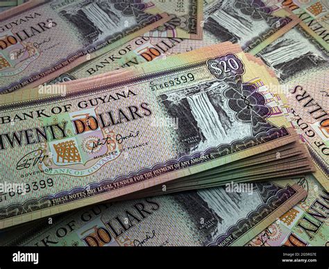 Money Of Guyana Guyanese Dollar Bills Gyd Banknotes 20 Dollars