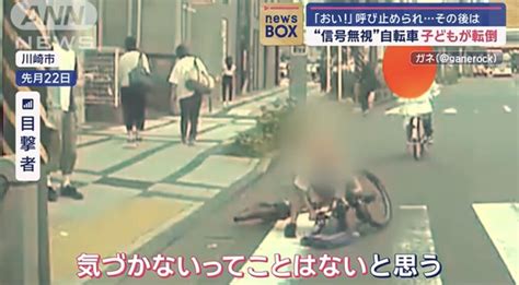 【事件】信号無視で子ども転倒！無視して立ち去る自転車女性の衝撃行動 News Everyday