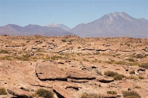 Oasis in Atacama desert stock image. Image of tourism - 10933731