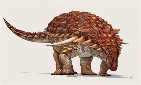 Spiky Dinosaur May Have Been A Softy Ceh