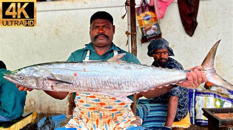 KASIMEDU SPEED SELVAM BIG SEER FISH CUTTING 4K VIDEO IN