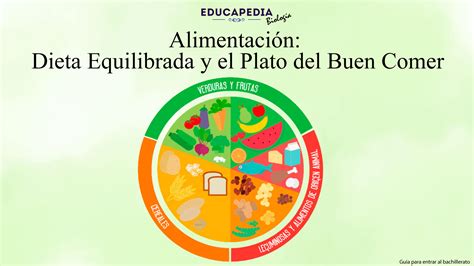 Alimentación Dieta Equilibrada Y El Plato Del Buen Comer Educapedia