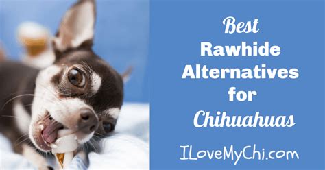 Best Rawhide Alternatives for Chihuahuas (and Other Dogs Too!) - I Love ...