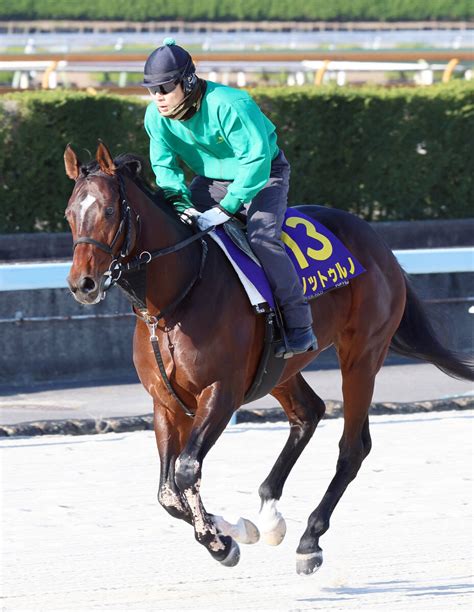 【画像】【注目馬動向】名古屋グランプリ8馬身差vのノットゥルノは帝王賞へ ライブドアニュース