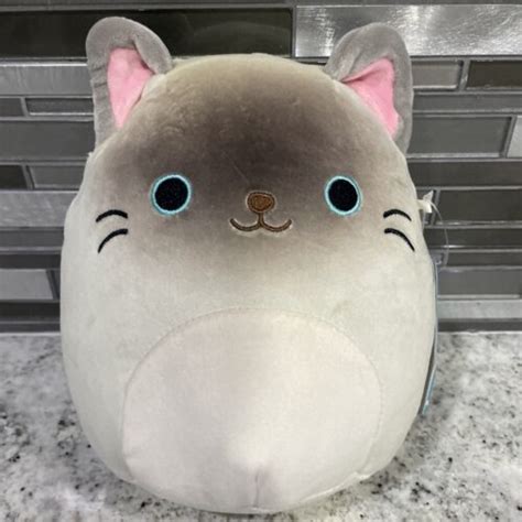 Nwt 75 Squishmallow Exotic Pets 2023 Felton The Siamese Cat New