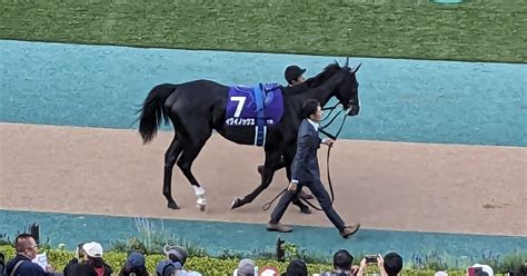 【穴党必見】素人競馬のつぶやき～クイーンs（g3）予習③～｜つとむ