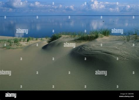 Parnidis Dune On The Curonian Spit Looking From Its Rim Onto The Calm