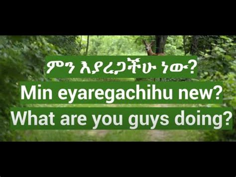 Easy Amharic Conversation For Beginners Easy Amharic Lesson Amharic