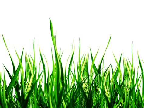 Natural Png Image - 53+ Koleksi Gambar