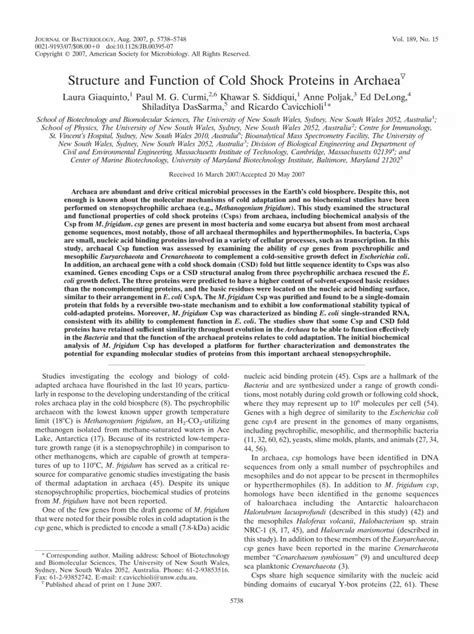 Pdf Structure And Function Of Cold Shock Proteins In Archaea