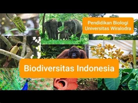 Biodiversitas Di Indonesia YouTube